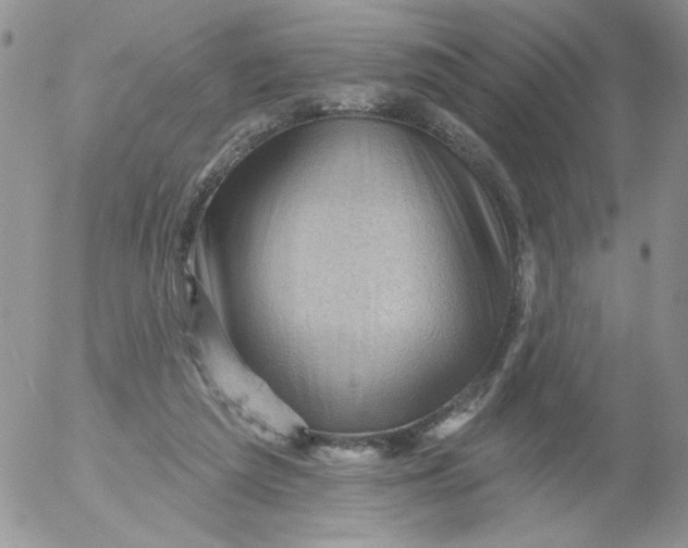 X0000053080209200508012015