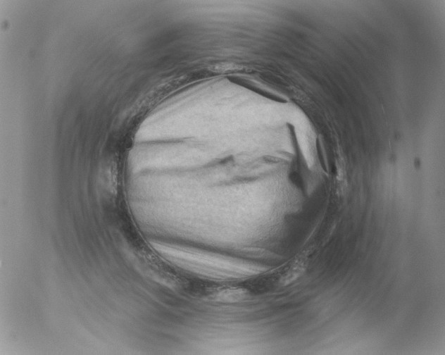 X0000053080210200508012015