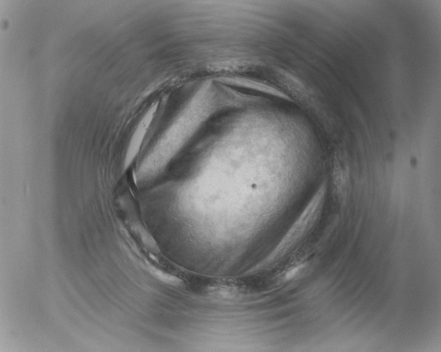 X0000053080211200508012015