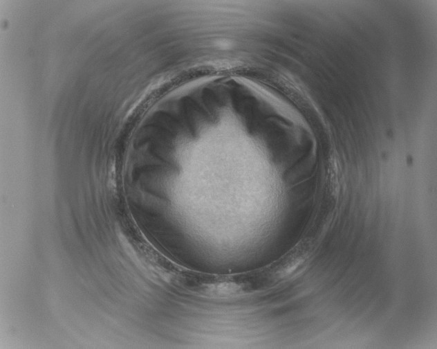 X0000053080212200508012015