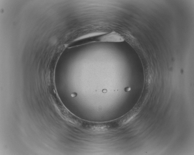 X0000053080213200508012015