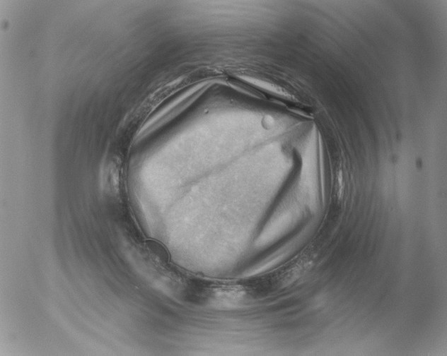 X0000053080214200508012015