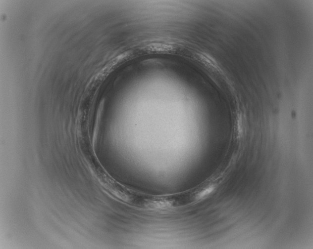 X0000053080217200508012015