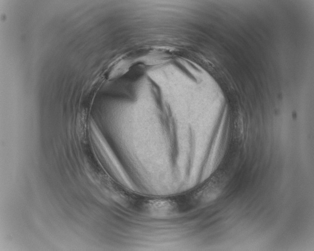 X0000053080218200508012015