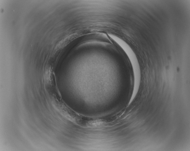 X0000053080219200508012015