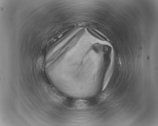 X0000053080222200508012014