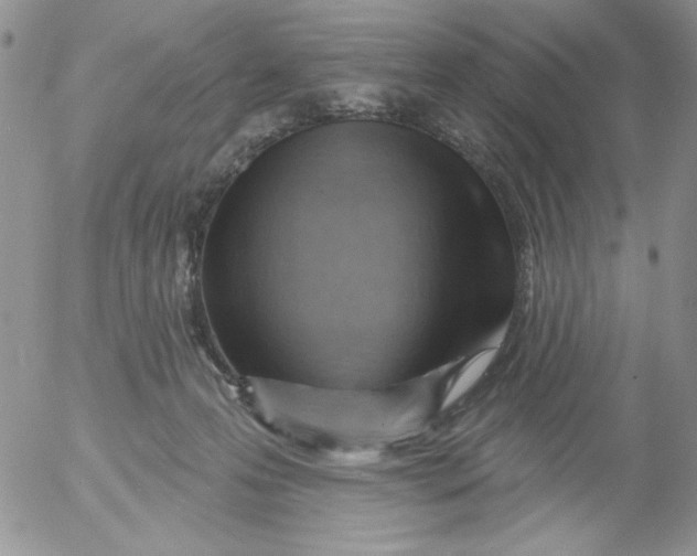 X0000053080223200508012014