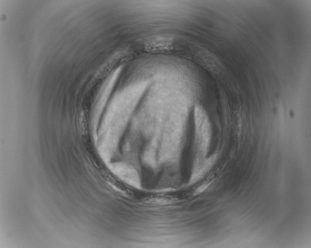 X0000053080224200508012014