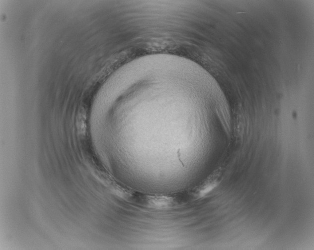 X0000053080226200508012014