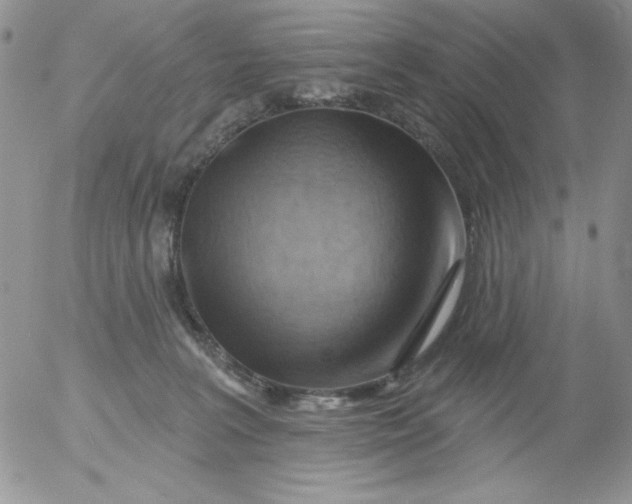 X0000053080227200508012014