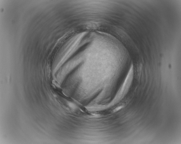 X0000053080228200508012014