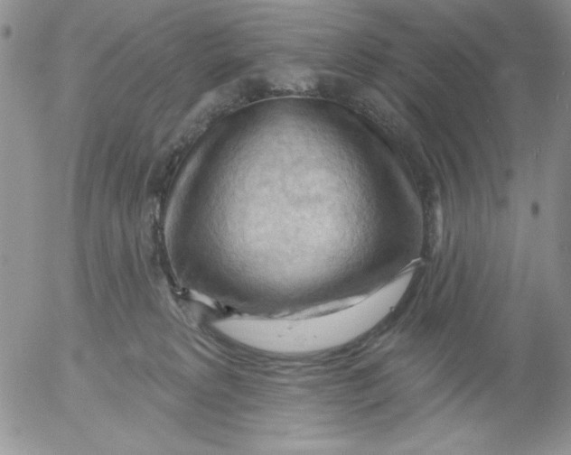 X0000053080229200508012014