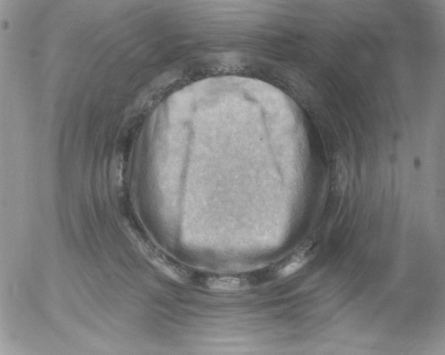 X0000053080230200508012014