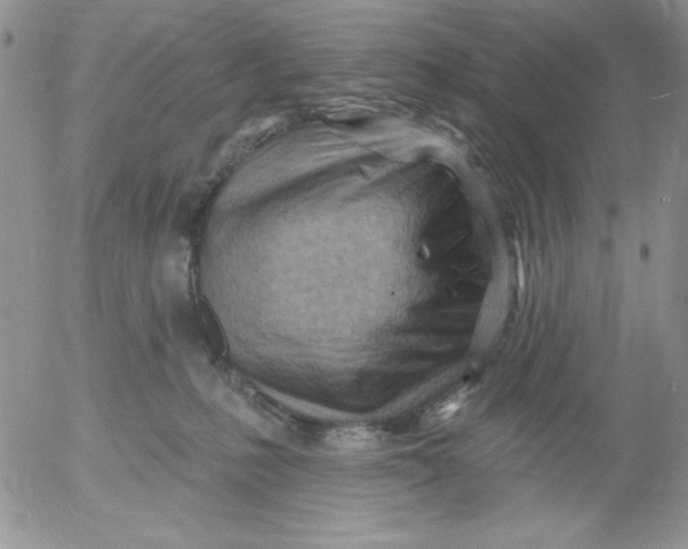 X0000053080231200508012014