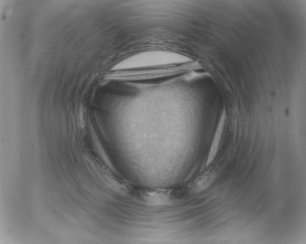 X0000053080232200508012014