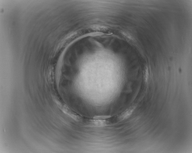 X0000053080233200508012014