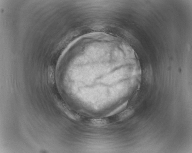 X0000053080234200508012014