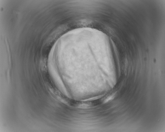 X0000053080236200508012014