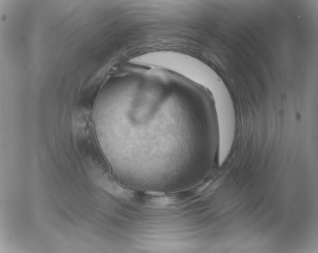 X0000053080237200508012014