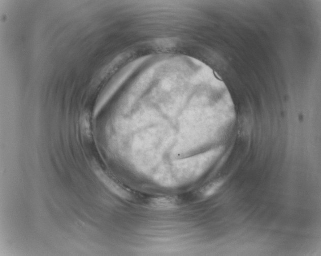 X0000053080238200508012014