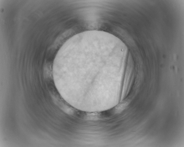 X0000053080240200508012014