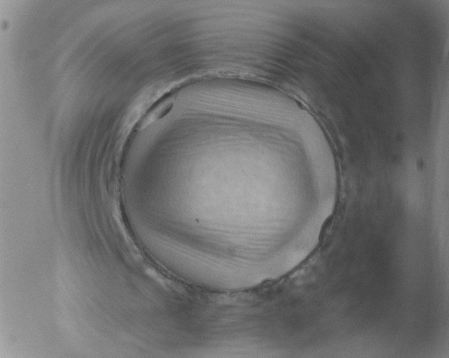 X0000053080241200508012013