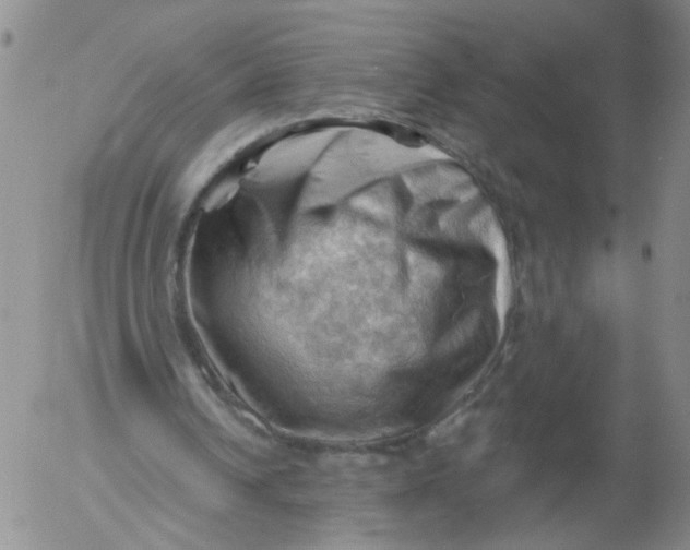 X0000053080242200508012013