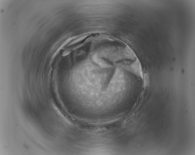 X0000053080243200508012013