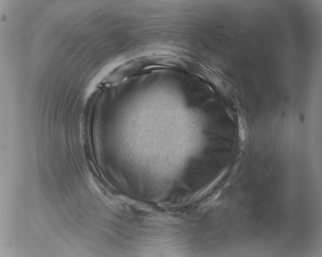 X0000053080244200508012013