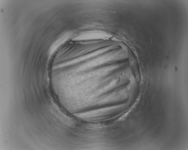 X0000053080245200508012013