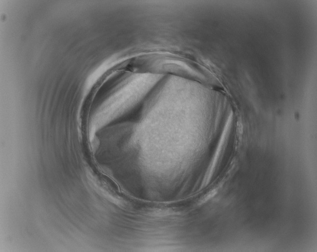 X0000053080246200508012013