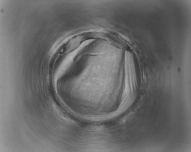 X0000053080247200508012013