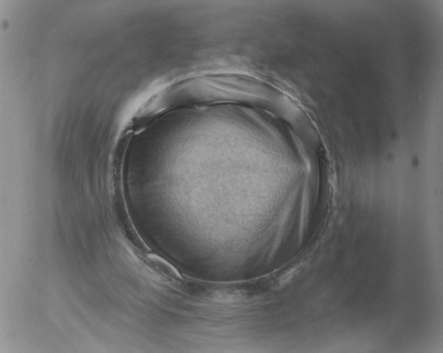 X0000053080248200508012013