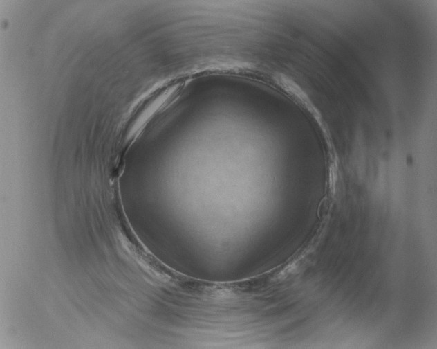 X0000053080249200508012013