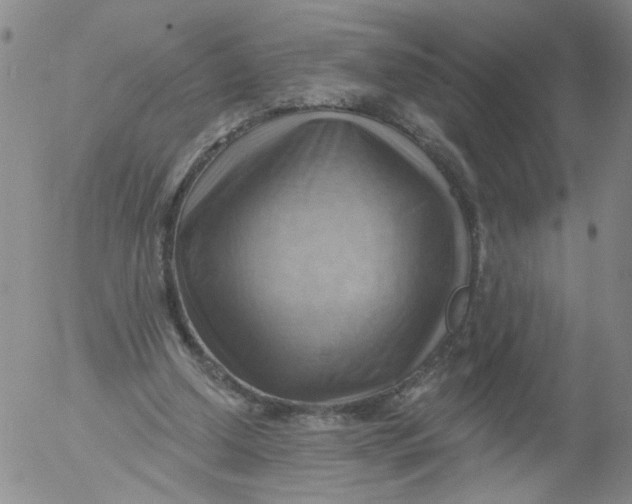 X0000053080250200508012013