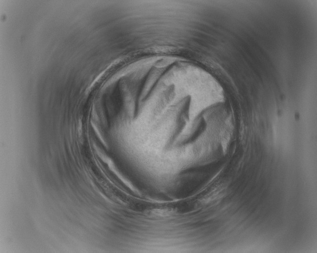 X0000053080251200508012014