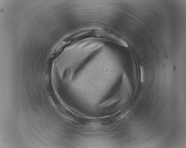 X0000053080252200508012014