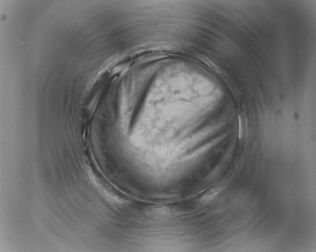 X0000053080253200508012014