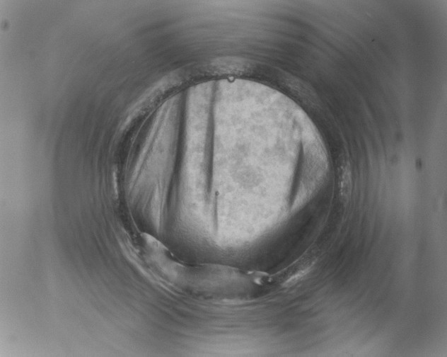 X0000053080254200508012014