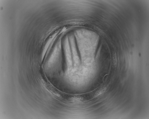 X0000053080255200508012014