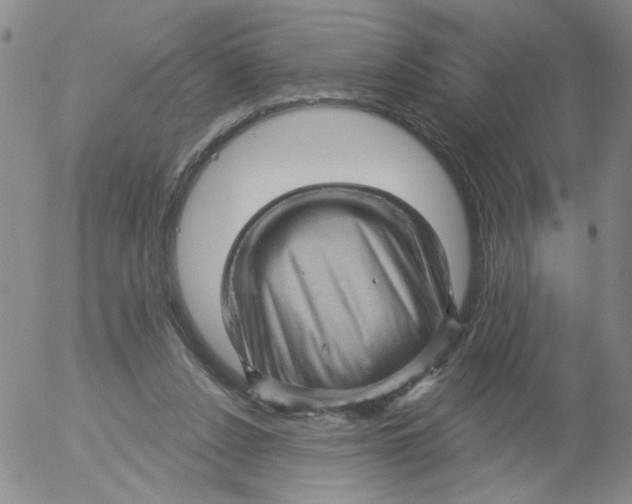 X0000053080256200508012014