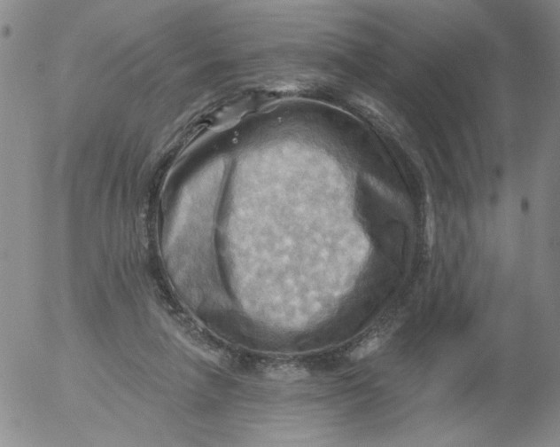 X0000053080258200508012014