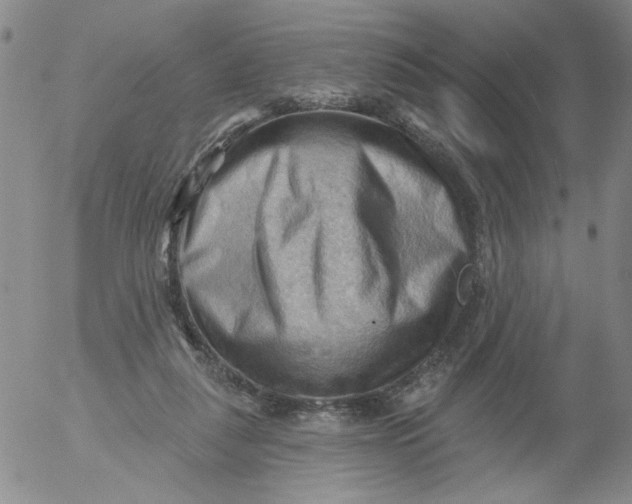 X0000053080259200508012014