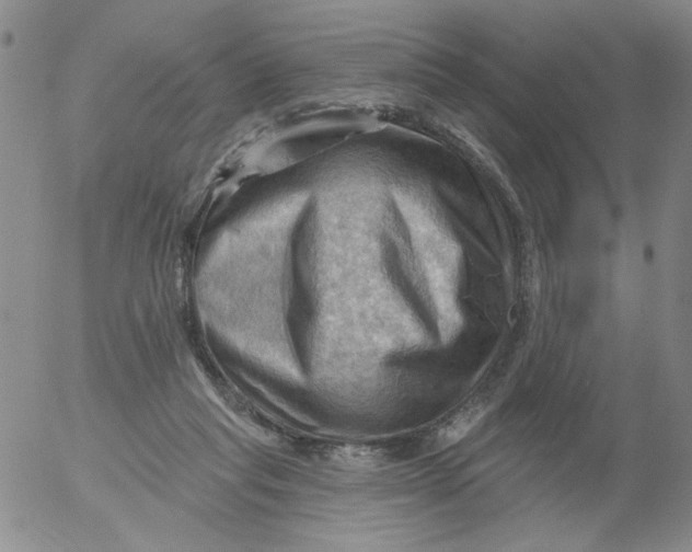 X0000053080261200508012014