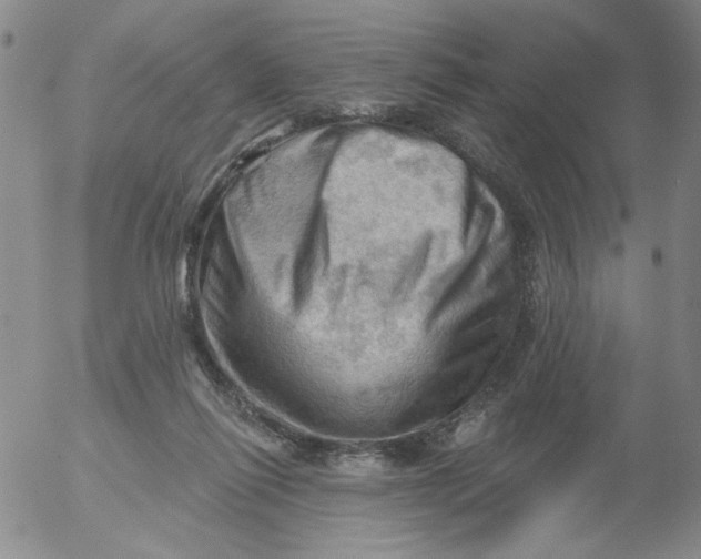 X0000053080262200508012014