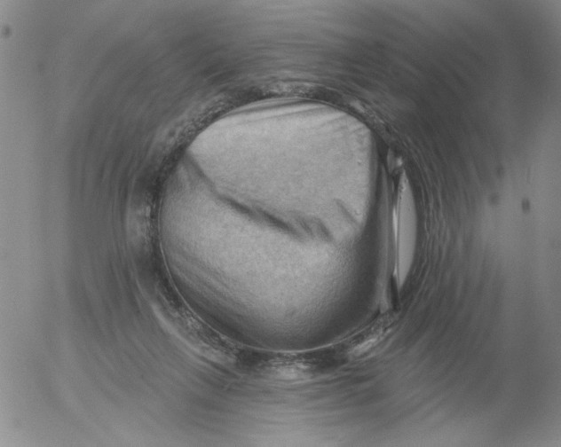 X0000053080263200508012014