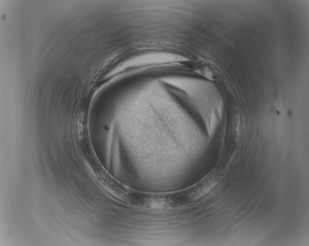 X0000053080264200508012014