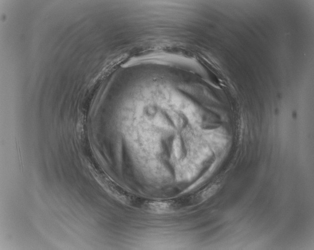 X0000053080265200508012014