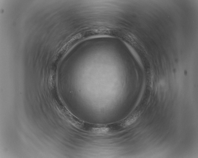 X0000053080266200508012014