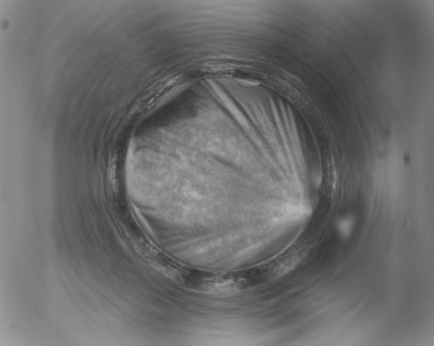 X0000053080267200508012014